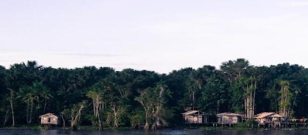 Los márgenes del Río Amazonas Los márgenes del Río Amazonas