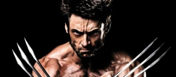 Wolverine, un icono de Marvel Wolverine, un icono de Marvel