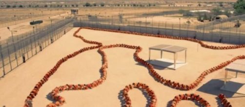 Human Centipede 3 on its way to cinemas.