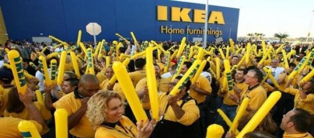 1000 posti di lavoro per Ikea 1000 posti di lavoro per Ikea