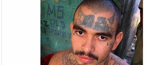 MS13 sta per Mara Salvatrucha, una setta satanica MS13 sta per Mara Salvatrucha, una setta satanica