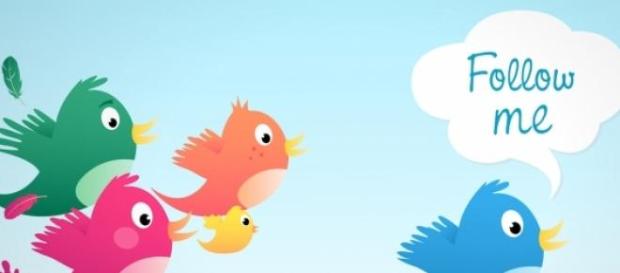 Seguidores en twitter, la clave para tu empresa Seguidores en twitter, la clave para tu empresa