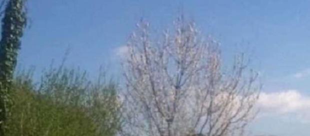 Ufo: ennesimo caso in provincia di Salerno Ufo: ennesimo caso in provincia di Salerno