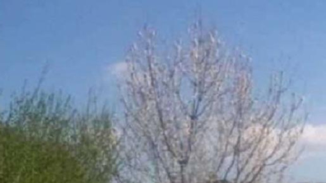  Ufo: ennesimo caso in provincia di Salerno