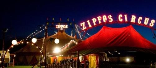 Zippos circus comes to Scotland.