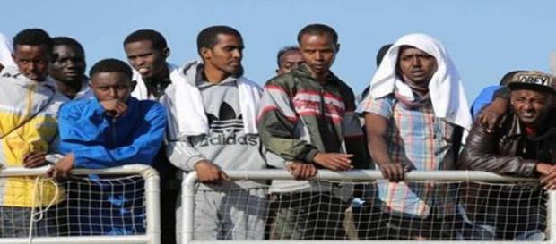 Esta é uma imagem que depõe contra o humanismo Esta é uma imagem que depõe contra o humanismo
