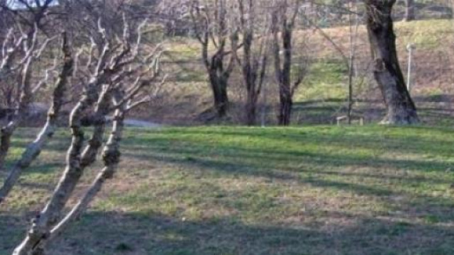Il giardino dei Giusti oggi. Milano Monte Stella