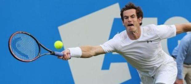 Andy Murray will play in the quarter-finals Andy Murray will play in the quarter-finals