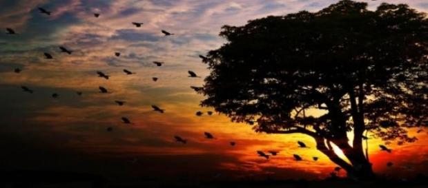 En la imagen, el atardecer de un día En la imagen, el atardecer de un día