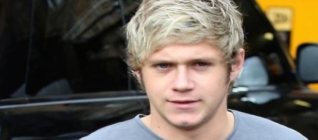 Niall Horan, membre des One Direction. Niall Horan, membre des One Direction.