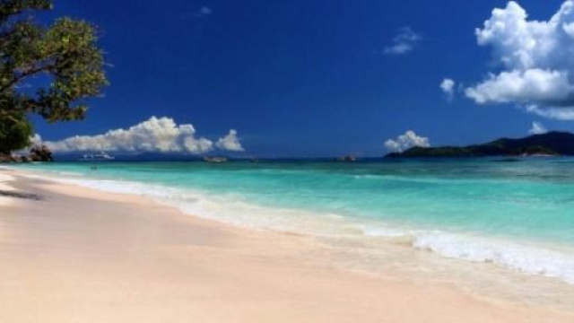 Oroscopo dell'estate 2015