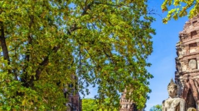 Viaggiare con l'oroscopo dell'estate 2015