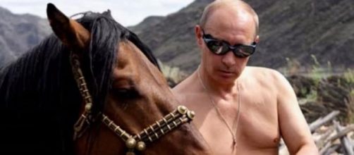 Vladimir Poutine adore s'exhiber torse nu.