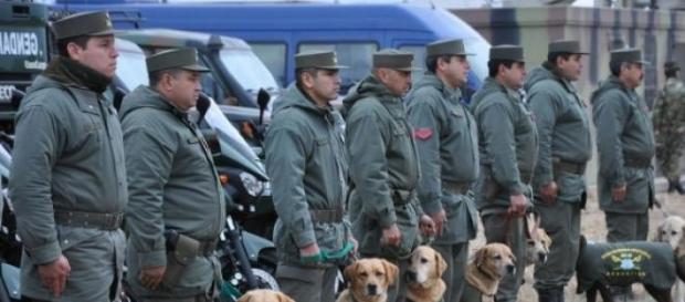 Gendarmes del operativo "Escudo Norte" Gendarmes del operativo "Escudo Norte"