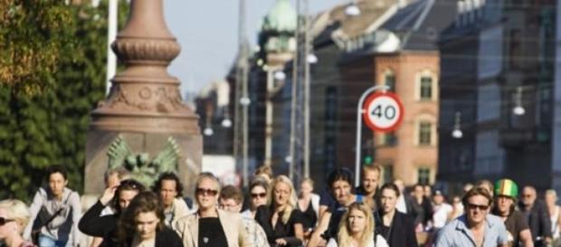 Kopenhaga - na rowerze -zeetours.nl Kopenhaga - na rowerze -zeetours.nl