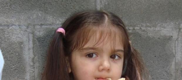 libres para comer, para jugar para ser felices libres para comer, para jugar para ser felices