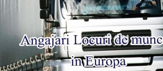 Şoferii români sunt căutaţi în Europa Şoferii români sunt căutaţi în Europa