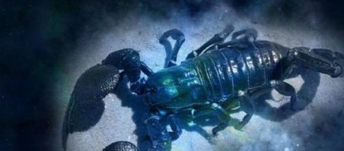 Oroscopo di luglio 2015 Scorpione