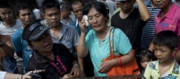 Yang Xiaoyun pagou 1000€ para resgatar os animais. Yang Xiaoyun pagou 1000€ para resgatar os animais.