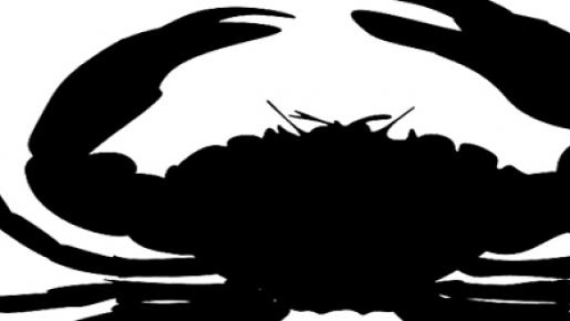 Il granchio &egrave; il simbolo del segno del Cancro.