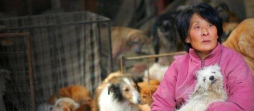 L'insegnante cinese con i cani che ha salvato