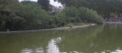 Lago del Parque Centenario