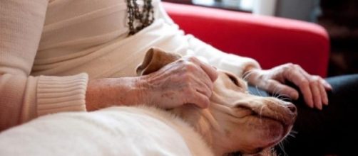 Prima casa di riposo aperta anche ai cani