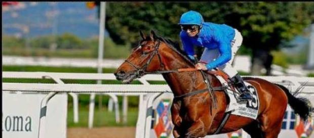 Dettori riding for Godolphin Dettori riding for Godolphin