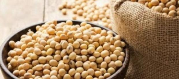 Grão de bico uma opção saudável para a dieta Grão de bico uma opção saudável para a dieta