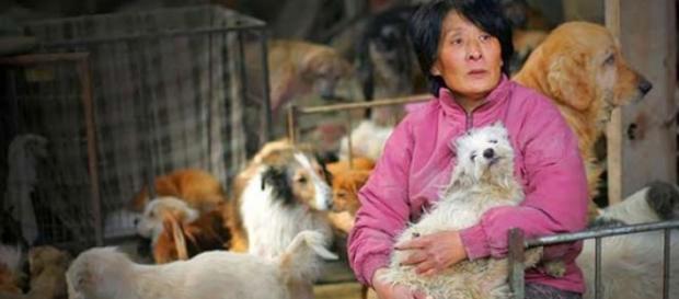 La fiesta de la ciudad de Yulin La fiesta de la ciudad de Yulin