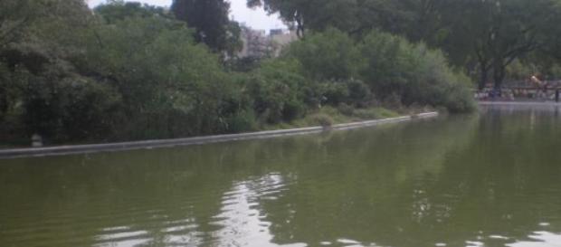 Lago del Parque Centenario Lago del Parque Centenario