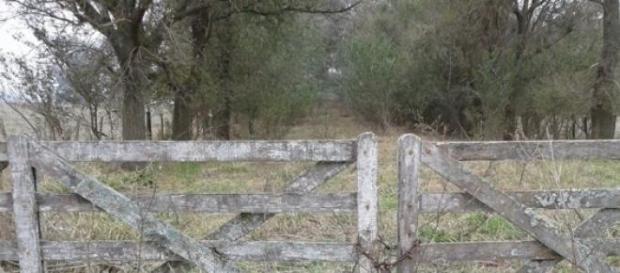 No se puede invertir en producción No se puede invertir en producción