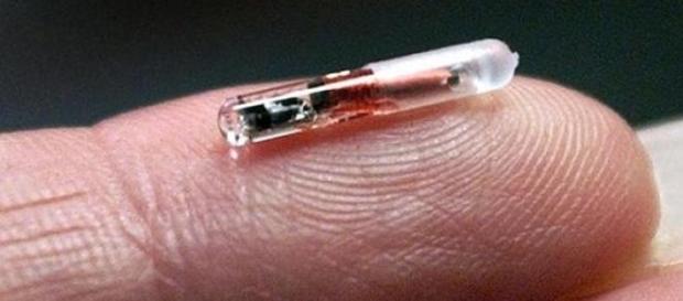 O microchip atual e seu tamanho O microchip atual e seu tamanho