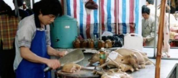 Perros ya cocinados en un puesto de comida. Perros ya cocinados en un puesto de comida.