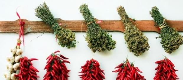 Temperos e ervas deixam a comida mais gostosa Temperos e ervas deixam a comida mais gostosa