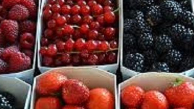 Frutti di bosco contro l'obesità