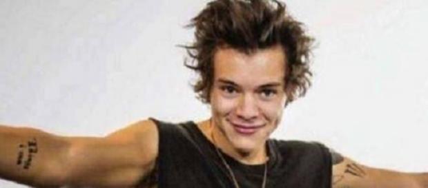 Harry Styles als Streitobjekt Harry Styles als Streitobjekt