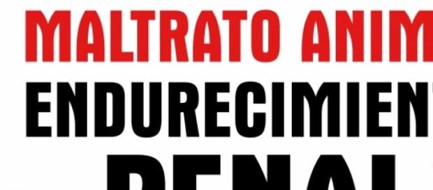 La lucha contra el maltrato animal La lucha contra el maltrato animal