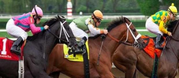 Racing Thoroughbreds battling it out Racing Thoroughbreds battling it out