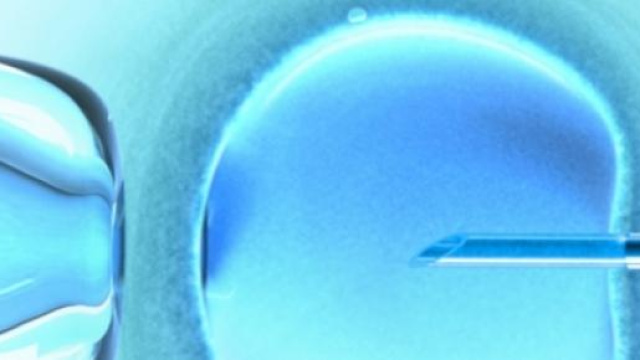 Diagnosi preimpianto, simulazione microscopio