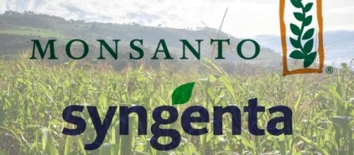 Logos de Monsanto y Syngenta