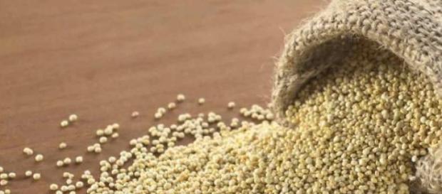 La quinoa es rica en vitaminas, fibras y minerales La quinoa es rica en vitaminas, fibras y minerales