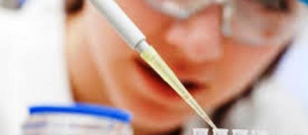 PiS zmieni ustawę o in vitro jeśli przejmie władzę PiS zmieni ustawę o in vitro jeśli przejmie władzę