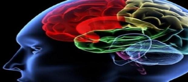 Toxinele din alimentatie afecteaza creierul Toxinele din alimentatie afecteaza creierul