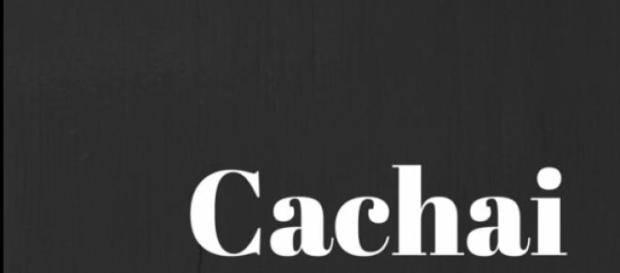 Cachai; modismo típico chileno Cachai; modismo típico chileno