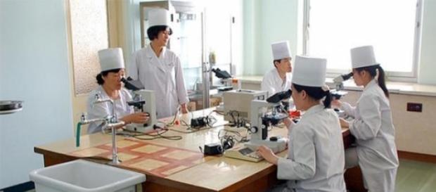 El medicamento está basado en el ginseng El medicamento está basado en el ginseng