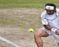 Injury forces Ferrer to pull out of Wimbledon