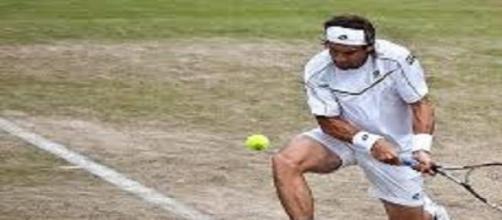 Ferrer unable to play in this year's Wimbledon