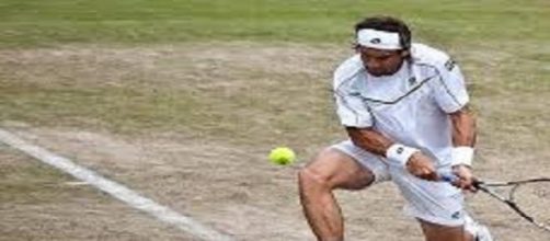 Ferrer unable to play in this year's Wimbledon