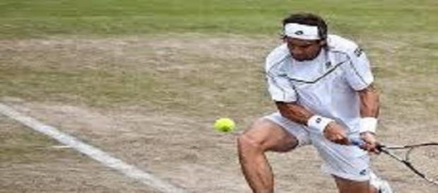 Ferrer unable to play in this year's Wimbledon Ferrer unable to play in this year's Wimbledon